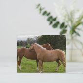 Carte postale de beautés au bain (Debout devant)