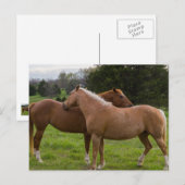 Carte postale de beautés au bain (Devant / Derrière)