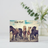 Carte Postale De beaux chevaux sauvages (Debout devant)