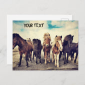 Carte Postale De beaux chevaux sauvages (Devant / Derrière)