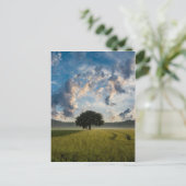 Carte Postale De beaux paysages naturels (Debout devant)