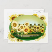 Carte postale de beaux tournesols (Devant / Derrière)