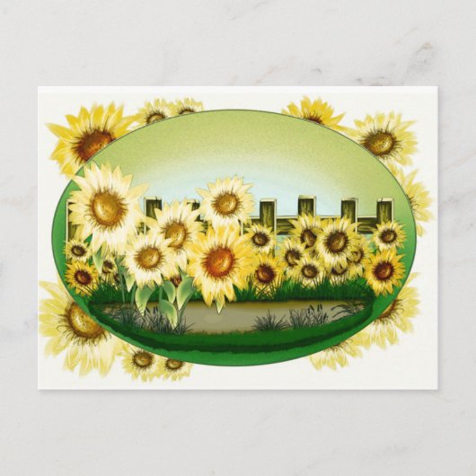 Carte postale de beaux tournesols (Devant)