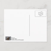 Carte postale de bébé soif (Dos)