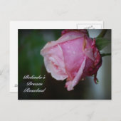 Carte postale de Belinda Dream Rosebud (Devant / Derrière)