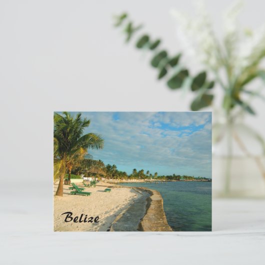 Carte postale de Belize Beach (Debout devant)