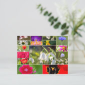 Carte Postale De belles fleurs pour des sentiments de printemps (Debout devant)