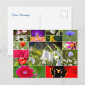 Carte Postale De belles fleurs pour des sentiments de printemps (Devant / Derrière)