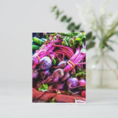 Carte postale de betteraves (Debout devant)