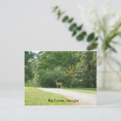 Carte postale de Big Canoe, Géorgie (Debout devant)