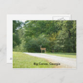 Carte postale de Big Canoe, Géorgie (Devant / Derrière)