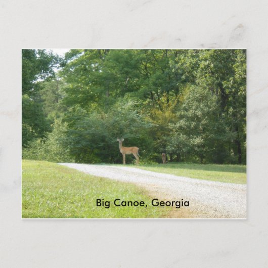 Carte postale de Big Canoe, Géorgie (Devant)