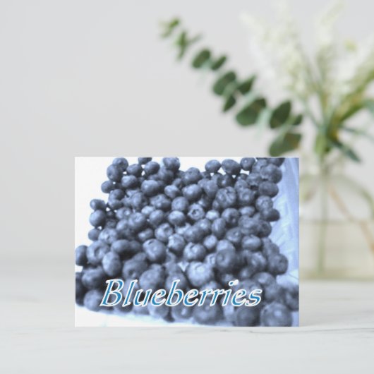 carte postale de bleuets (Debout devant)