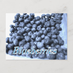 carte postale de bleuets