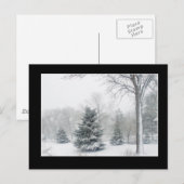 Carte postale de Blizzard Magnifique - Personnalis (Devant / Derrière)