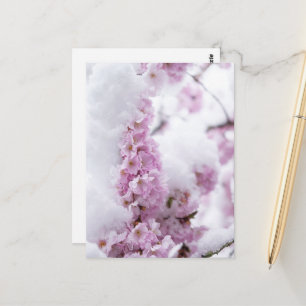 Carte postale de Blossoms