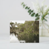 Carte postale de Blue Springs State Park (Debout devant)