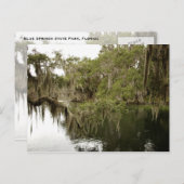 Carte postale de Blue Springs State Park (Devant / Derrière)