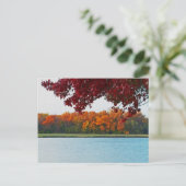 Carte postale de Bob Woodruff Park (Debout devant)