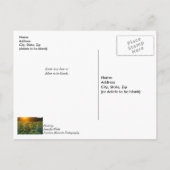 Carte postale de bon rétablissement au champ de to (Dos)