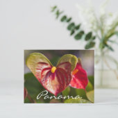 Carte postale de Boquete, Panama (Debout devant)