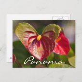 Carte postale de Boquete, Panama (Devant / Derrière)