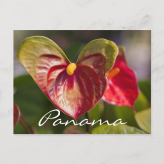 Carte postale de Boquete, Panama