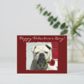 Carte postale de bouledogue de heureuse (Debout devant)
