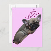 Carte postale de bouledogue français (Devant / Derrière)