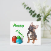 Carte postale de bouledogue français (Debout devant)