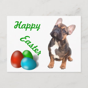 Carte postale de bouledogue français