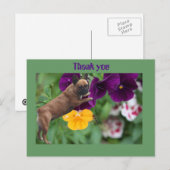 Carte postale de Bouledogue Français (Devant / Derrière)