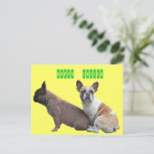 Carte postale de bouledogue français (Debout devant)