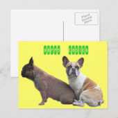 Carte postale de bouledogue français (Devant / Derrière)