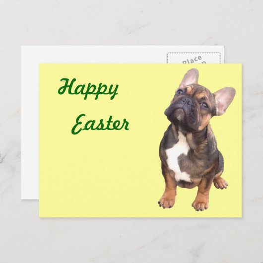 Carte postale de bouledogue français (Devant / Derrière)