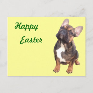 Carte postale de bouledogue français