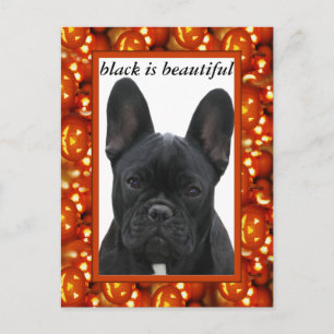Carte postale de bouledogue français
