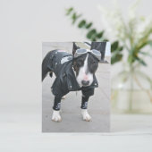 Carte postale de bouledogue gothique (Debout devant)