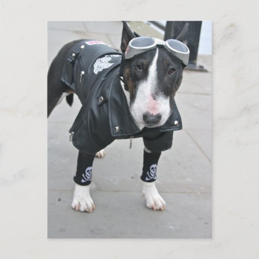 Carte postale de bouledogue gothique (Devant)