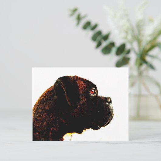 Carte postale de boxer Brindle (Debout devant)