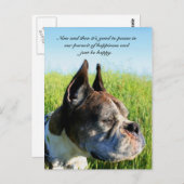 Carte postale de boxeur du bonheur (Devant / Derrière)