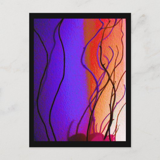 Carte postale de branches de lumière (Devant)