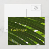 Carte postale de broche (Devant / Derrière)