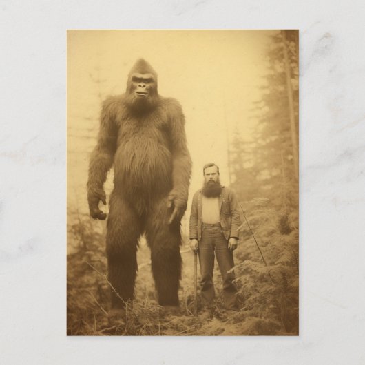Carte postale de bûcheron Sasquatch (Devant)