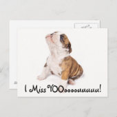 Carte postale de Bulldog (Devant / Derrière)