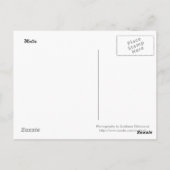 Carte postale de bus maltais (Dos)