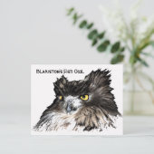 Carte postale de buste de la Chouette du poisson (Debout devant)