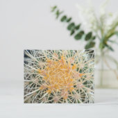 Carte postale de cactus (Debout devant)