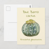 Carte postale de cactus à baril bleu (Devant / Derrière)