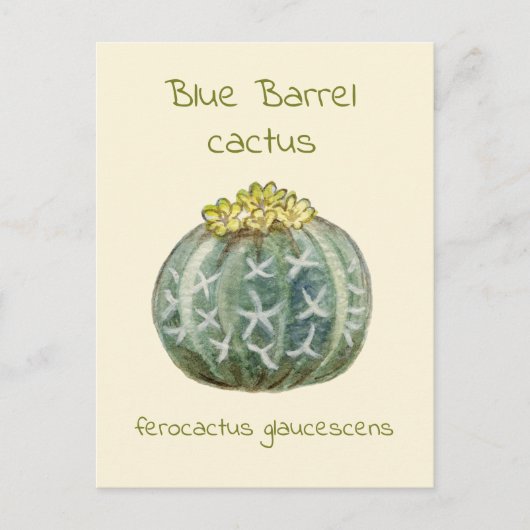 Carte postale de cactus à baril bleu (Devant)
